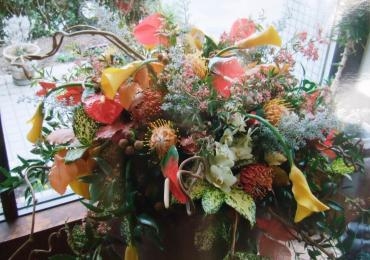 冬　店長お気に入り大き目|「フラワーギフト花通信」　（愛知県豊橋市の花屋）のブログ